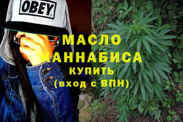 индика Верхний Тагил