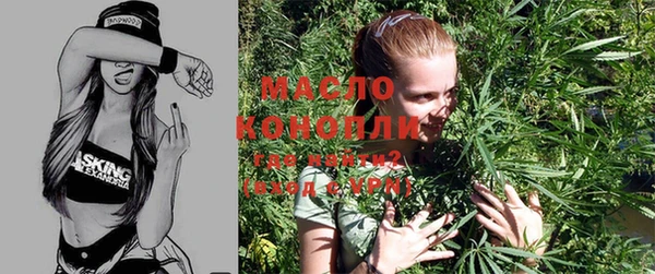индика Верхний Тагил