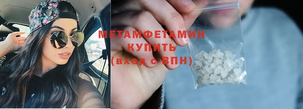 индика Верхний Тагил