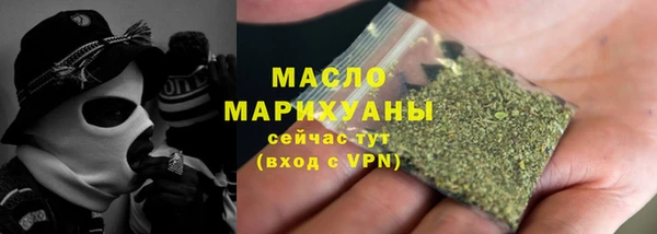 индика Верхний Тагил