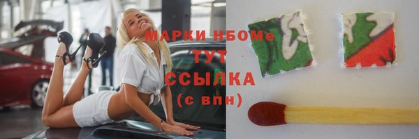 индика Верхний Тагил