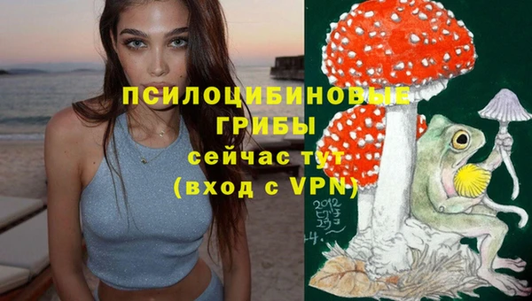 прущая мука Тобольск