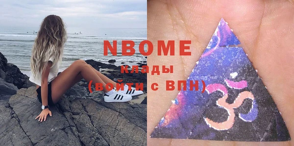 индика Верхний Тагил