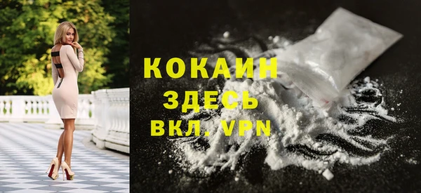 индика Верхний Тагил