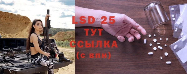 индика Верхний Тагил