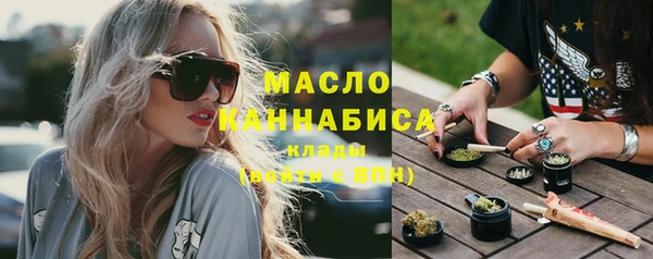 индика Верхний Тагил