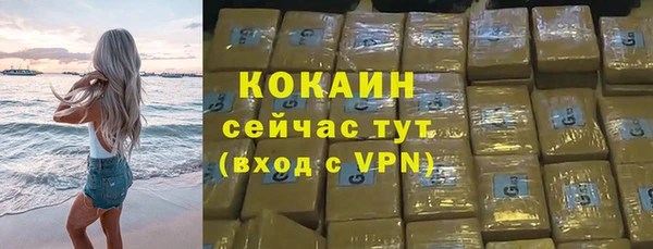 индика Верхний Тагил