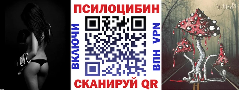 hydra рабочий сайт  Касимов  Псилоцибиновые грибы GOLDEN TEACHER 